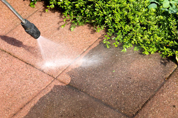 Local Pressure Washing Services